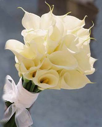 Wedding Flowers: Calla Lily