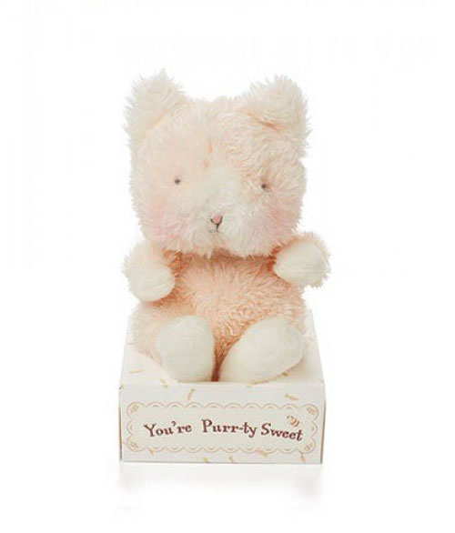 Wittle Kitty (in box)