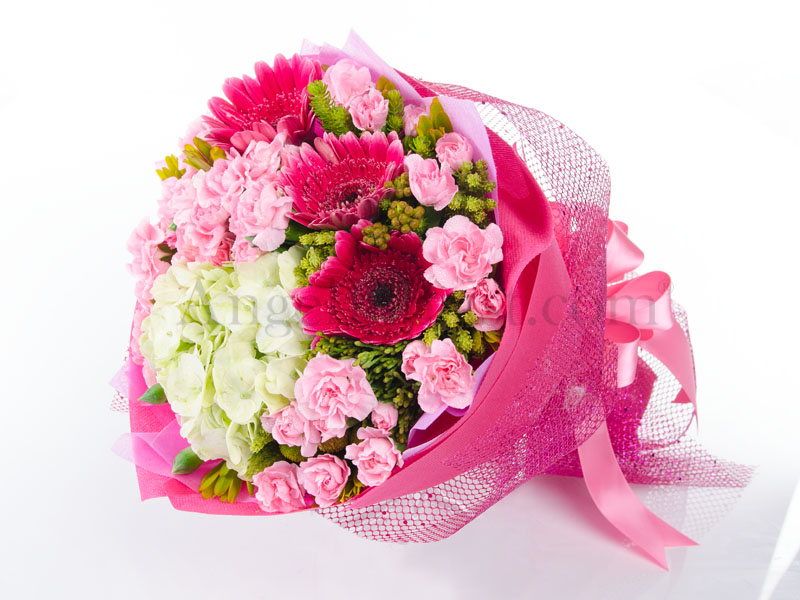 Wonders of the World