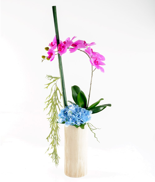 Beautiful Partnership