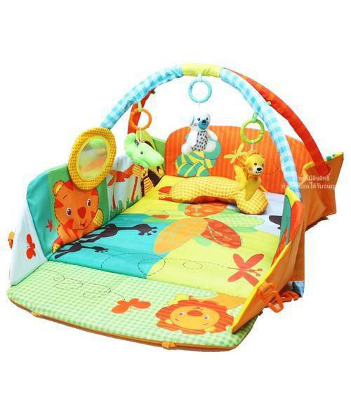 Play Gym-Orange Color