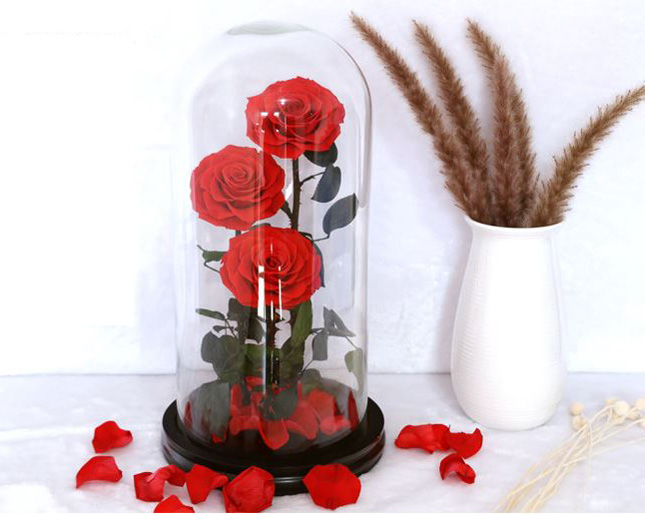 Preserved Roses - I Love You