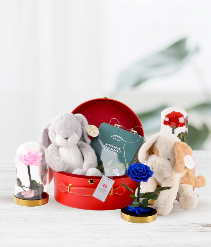 Combo Gift-2A (With Nibble Bunny)