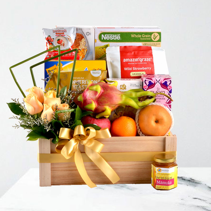 Wellness and Fitness