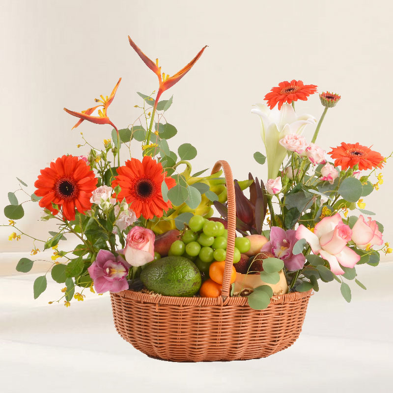 Harvest Fruits Omakase