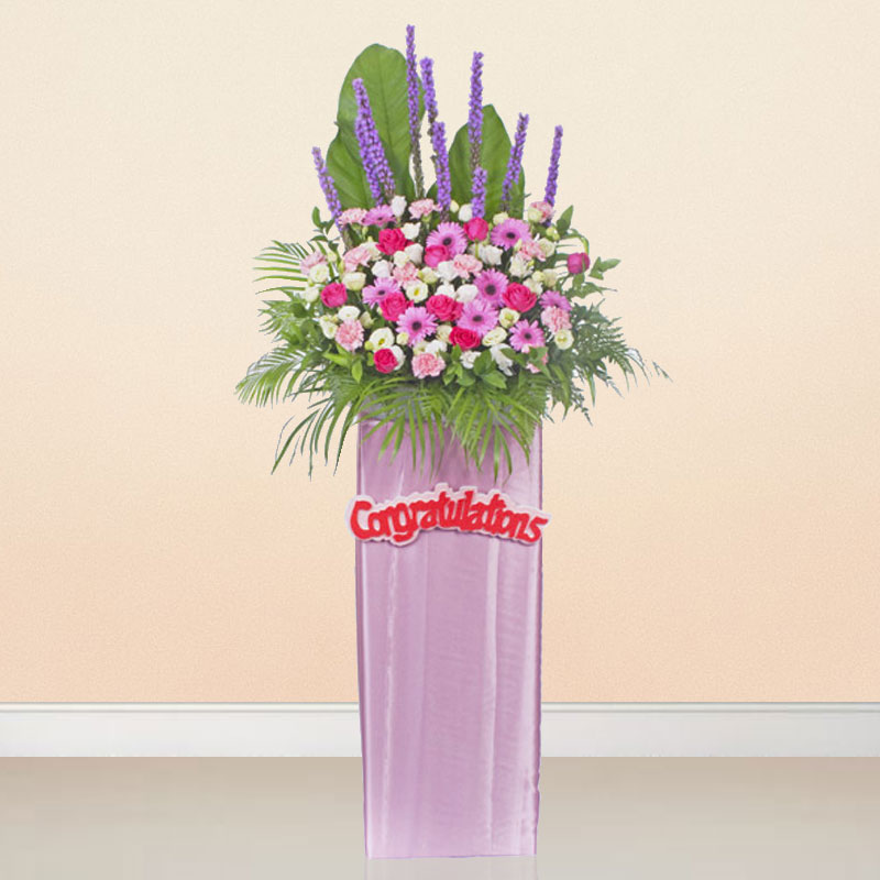 Congratulations,In the Pink