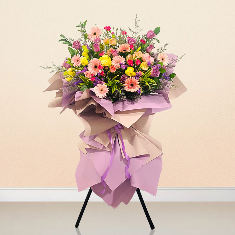 Opening Flowers: Beautiful Blooms