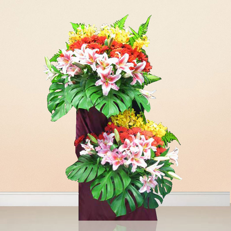 Opening Flowers: Splendour