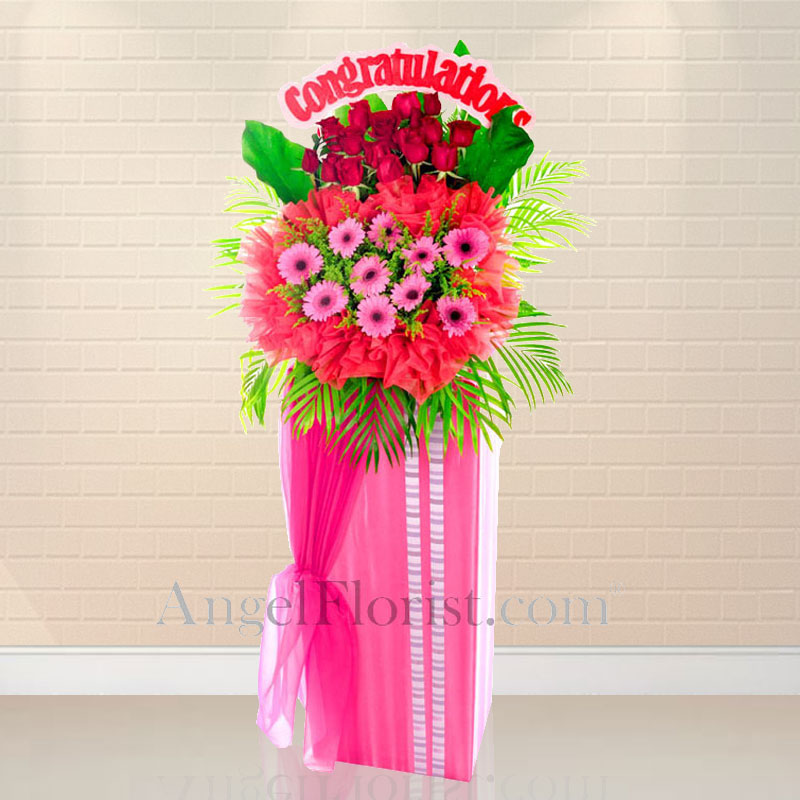 Opening Stand: Hues of Success