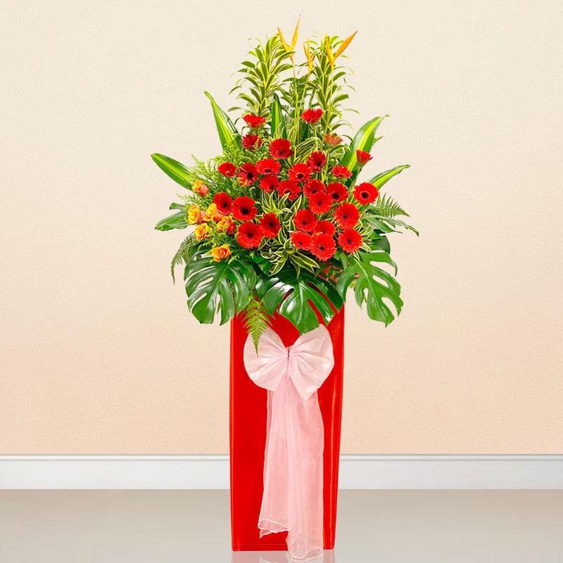 Opening Stand: Bright Future