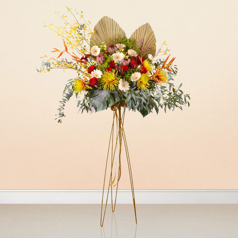 Elegance in Progress