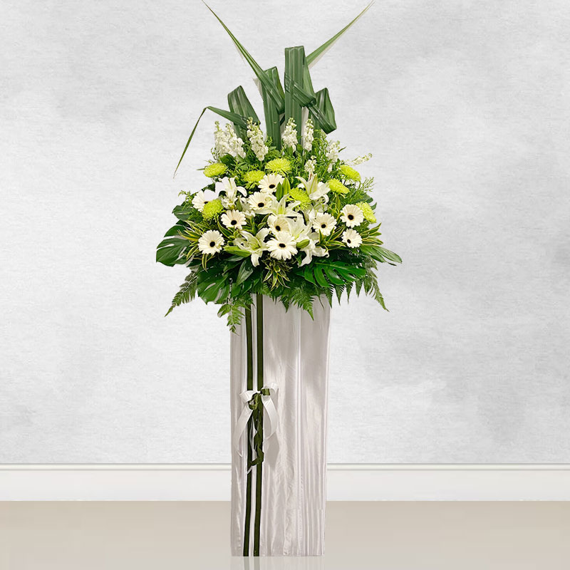 Sympathy Stand: Moments Of Peace