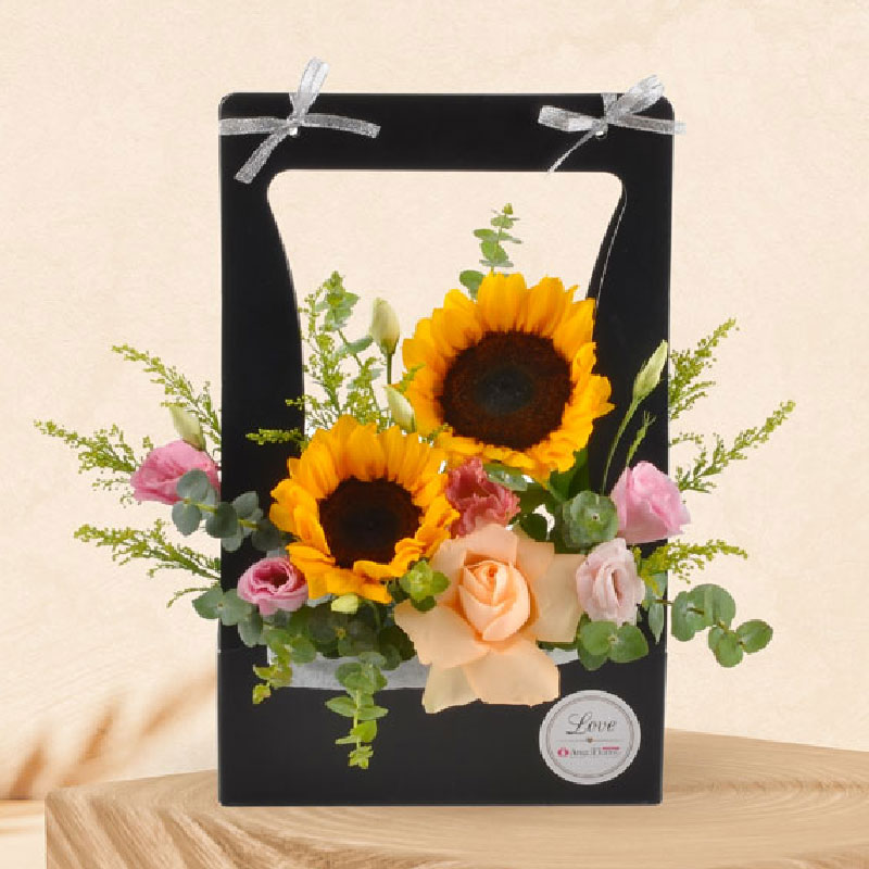 Sunshine in life (for her)