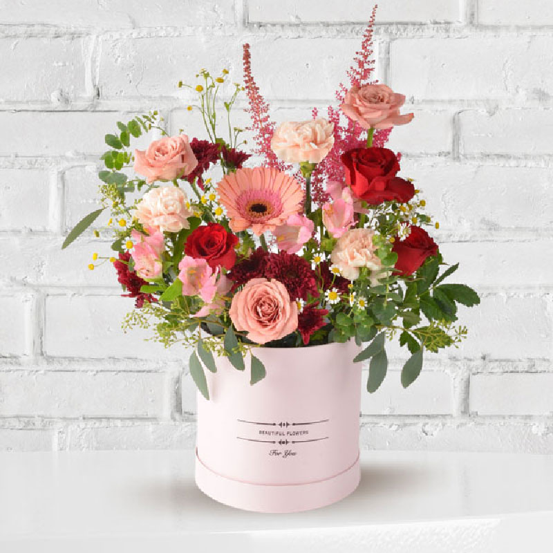 Sweet Cappuccino Story