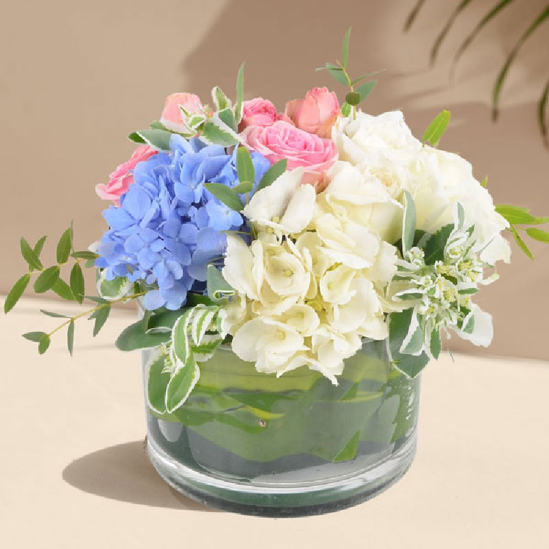 A Picturesque Memory