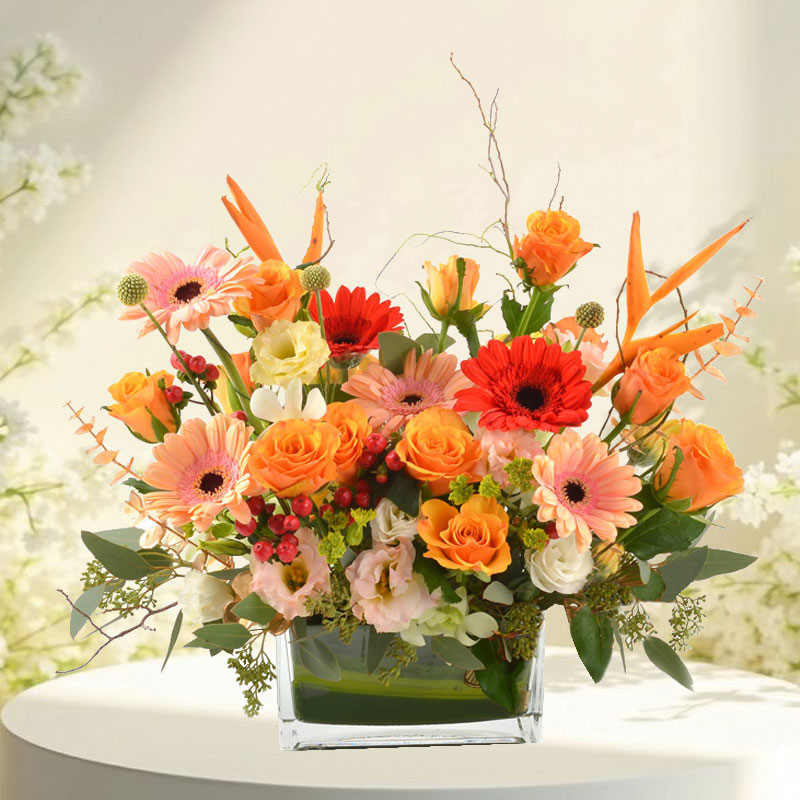 Falling into your smile