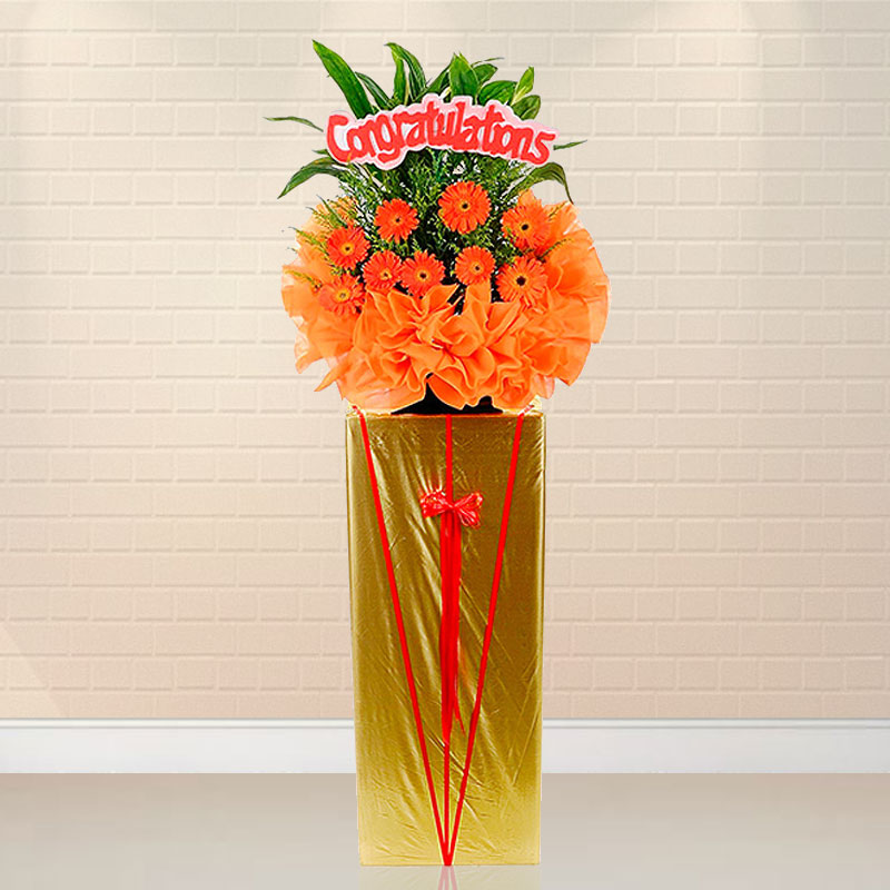 Opening Flower: Shine On