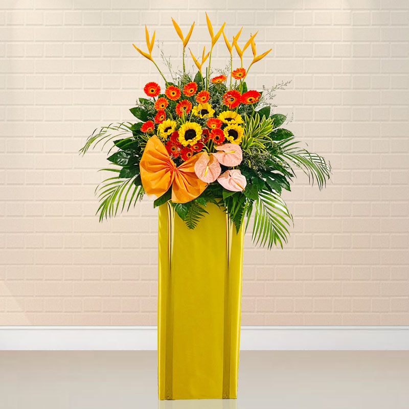 Grand Opening: Super Star