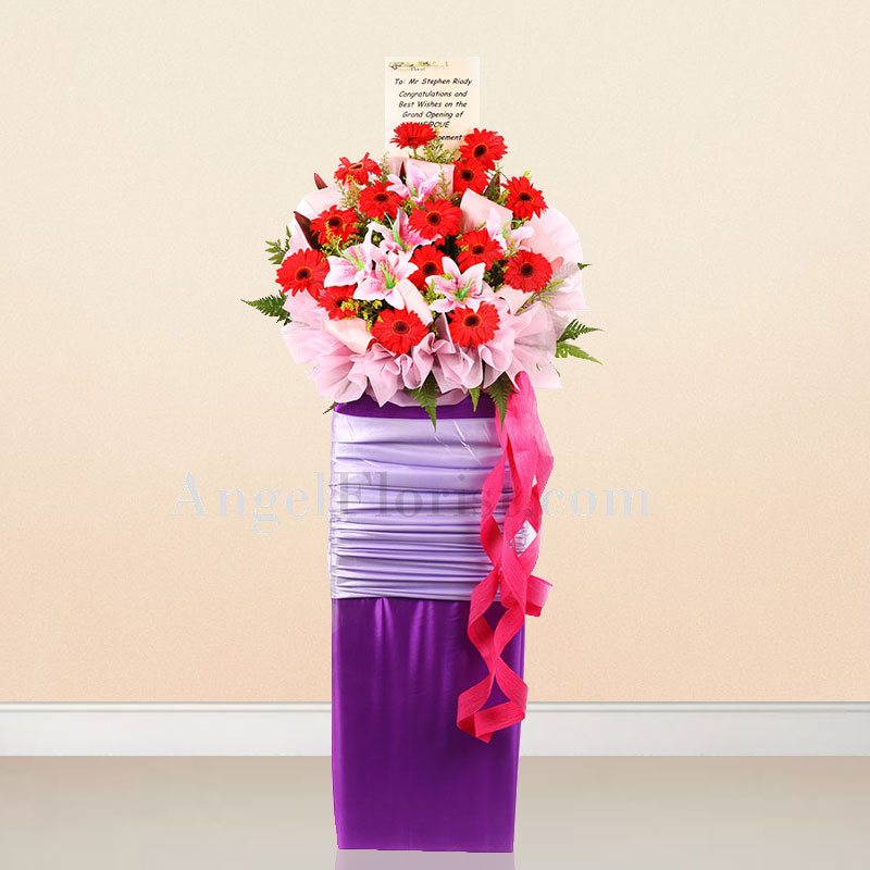 Opening Stand: All The Best