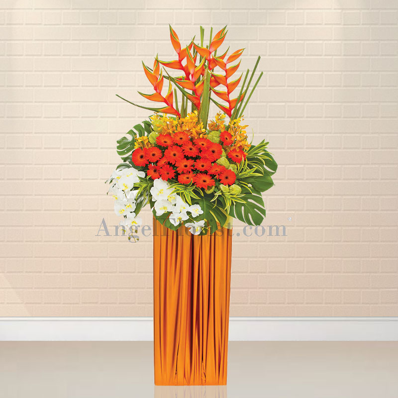 Opening Flowers Stand: Rising Sun