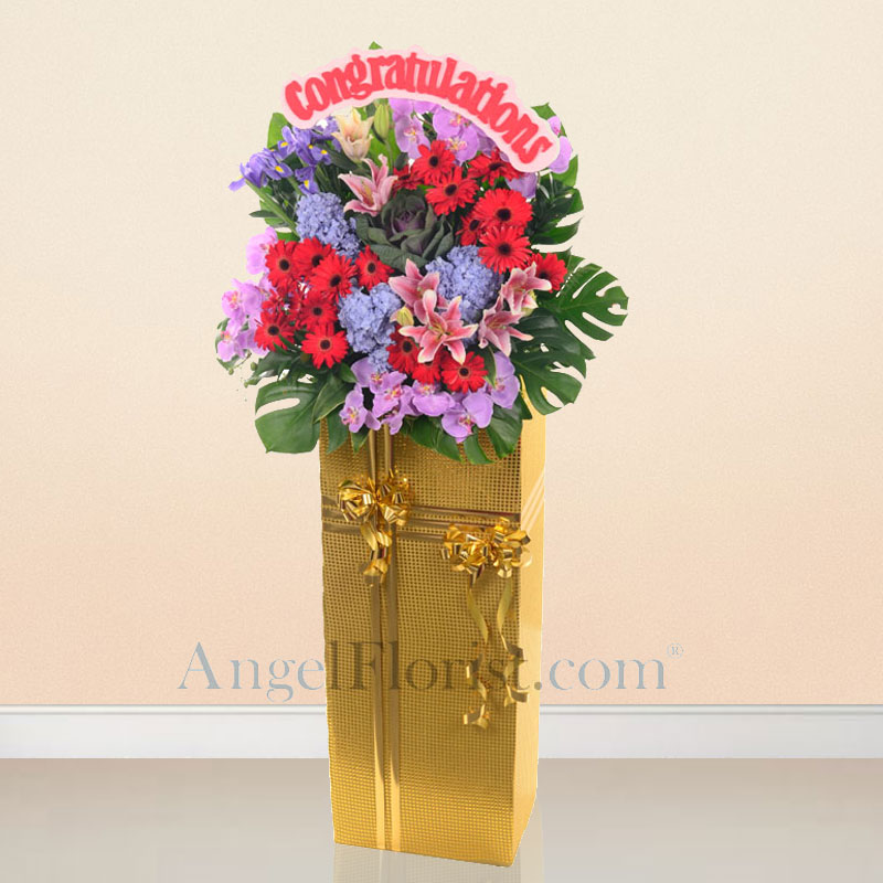 Opening Flowers: Vibrant Cheer