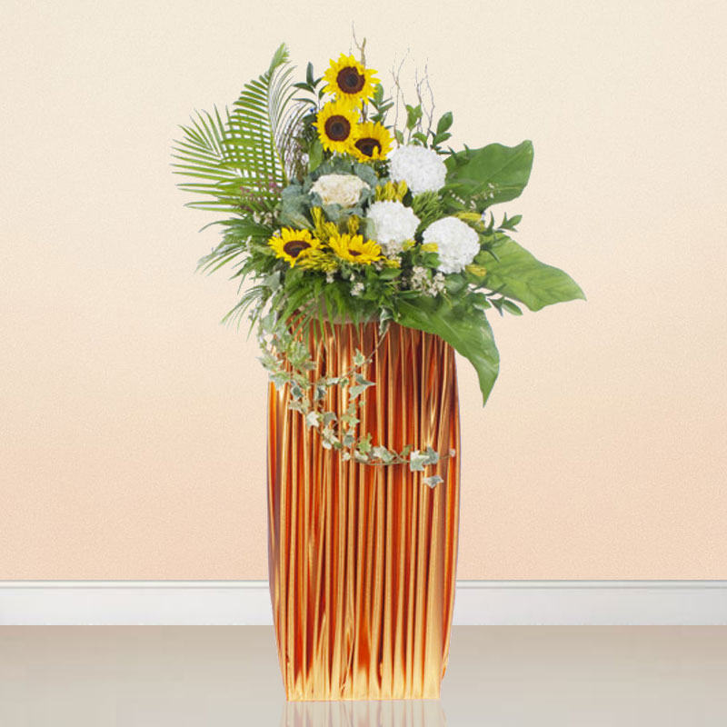 Opening Flowers: Sunrise