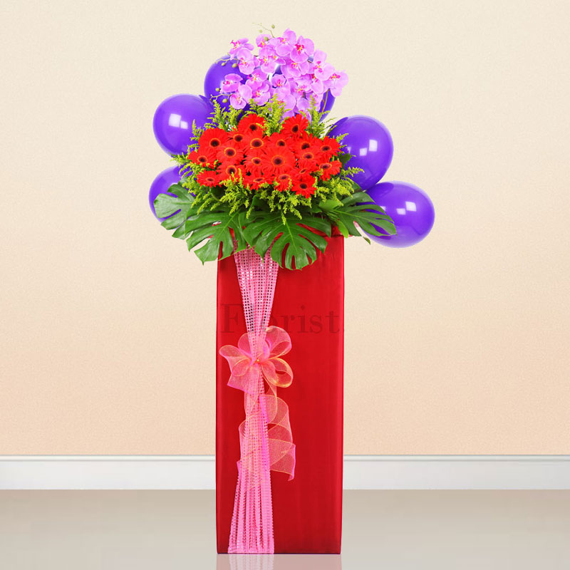 Opening Flowers Stand: Applause