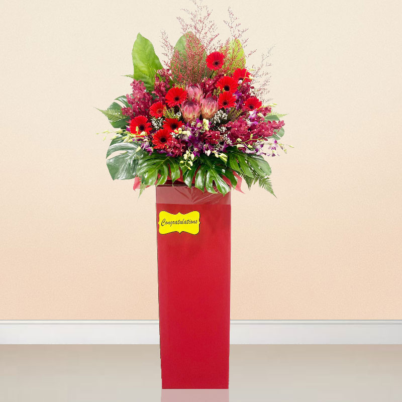 Opening Stand: Rising Fortune