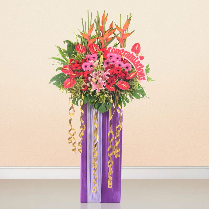 Grand Opening: Heartiest Congratulation