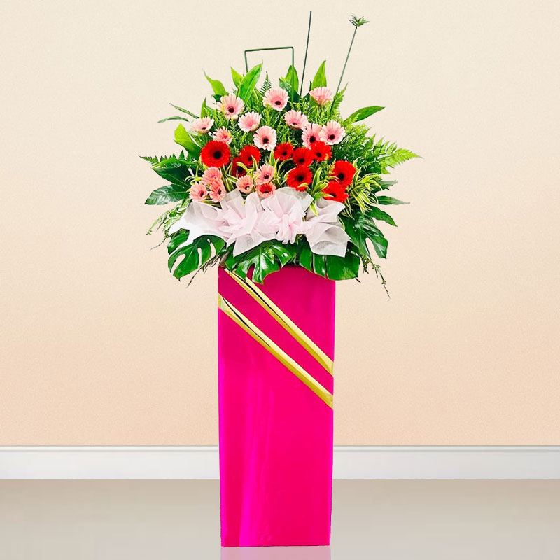 Opening Flower: Joyful Celebration