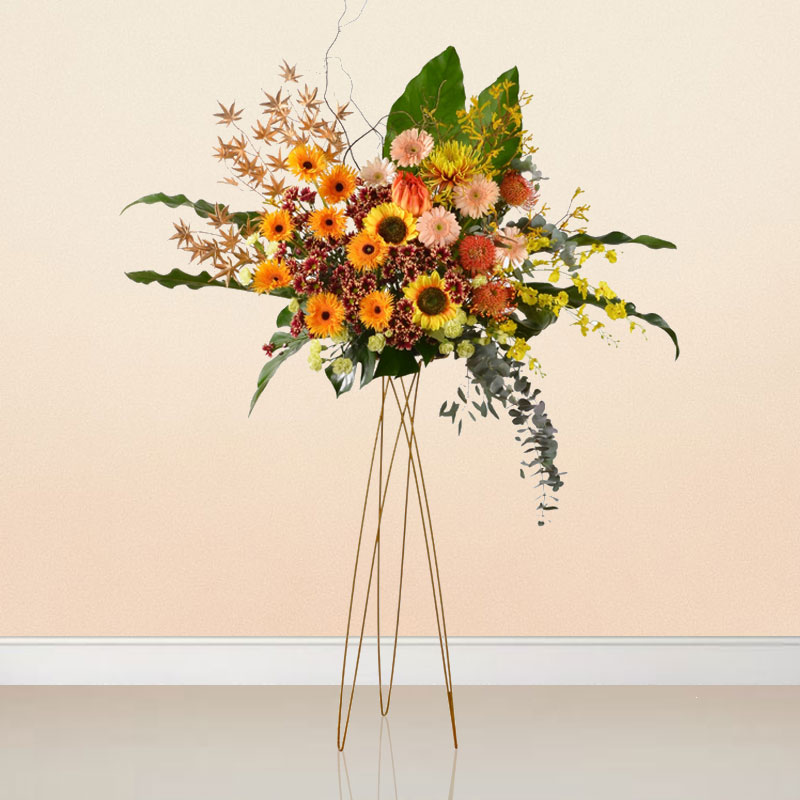 Golden Path to Growth