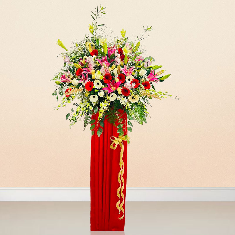 Grand Opening: Go Higher