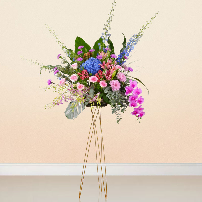 Vibrant New Ventures