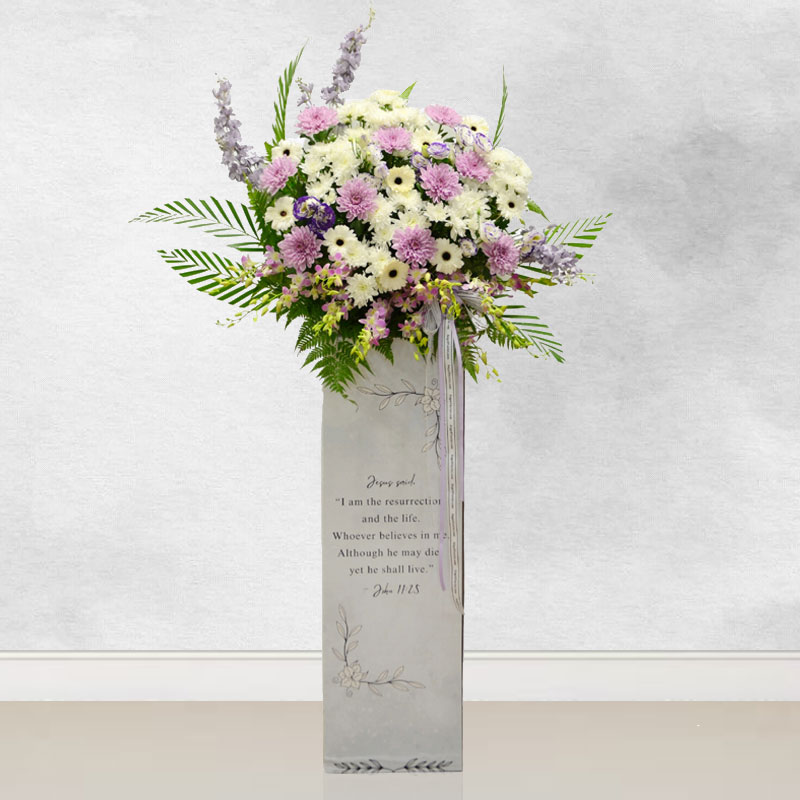 Faithful Reflections