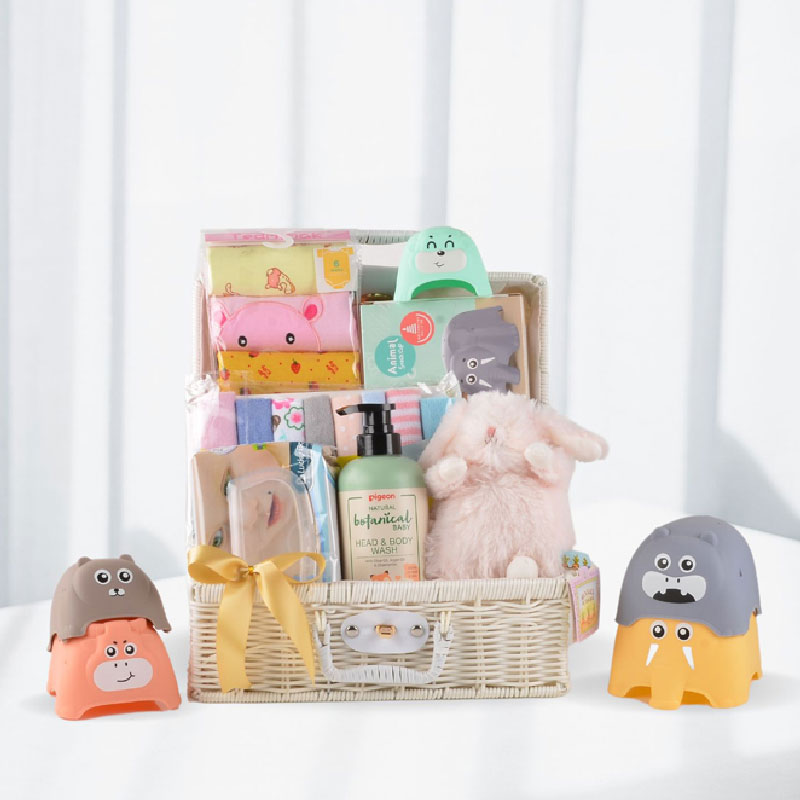 Welcome Newborn Gift