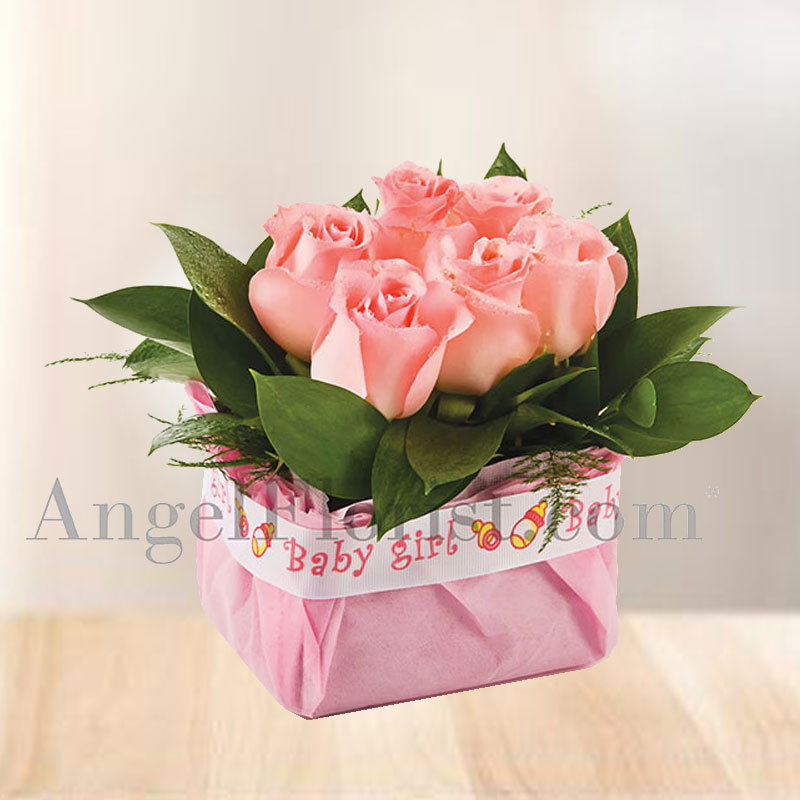 Lovely Girl (Available as add on only)