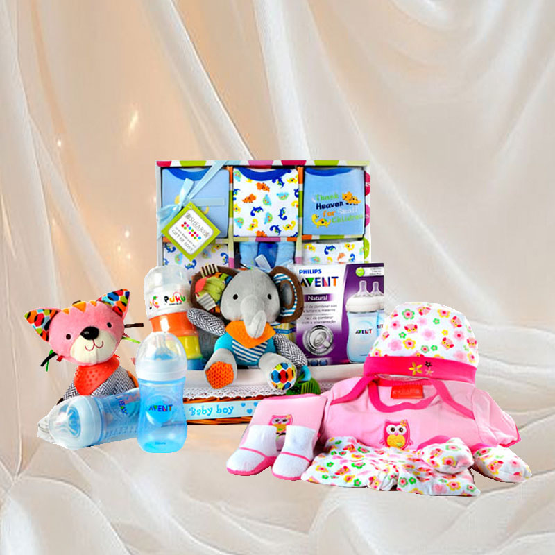 Animals Wonderland