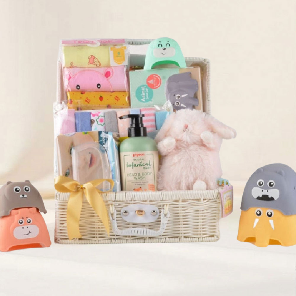 Welcome Newborn Gift