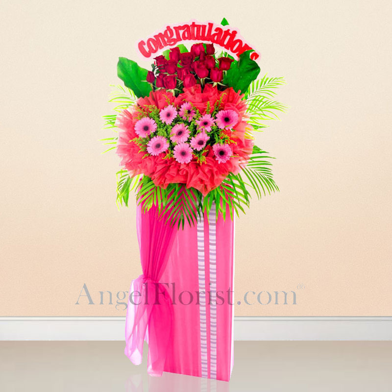 Opening Stand: Hues of Success