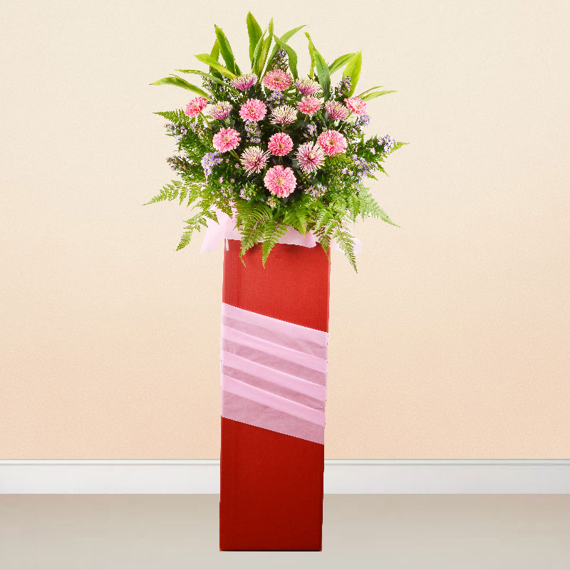 Opening Stand: Blazing Celebration