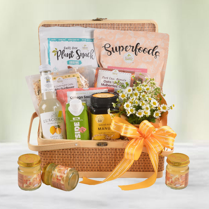 Gentle Recovery Basket