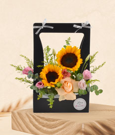 Sunshine in life (for her)