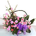 Carnation Basket-ab